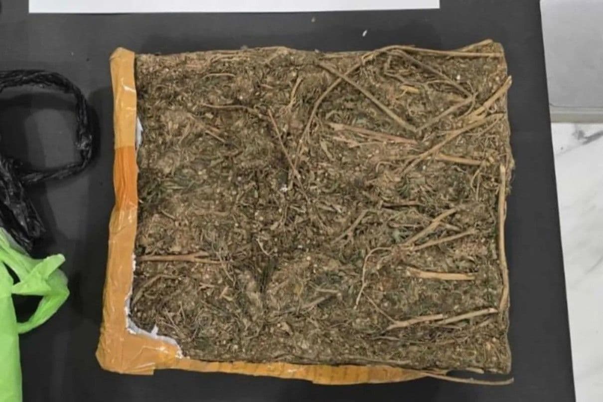 Polisi Tangkap Empat Pengedar Ganja 1 Kg di Jakarta Utara